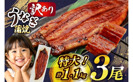うなぎ 蒲焼 特大サイズ 肉厚 約 1.1kg 3尾 タレ・山椒付 茶葉蒸し [大黒物産 福岡県 宇美町 um40bak830001] 鰻 ウナギ 小分け うなぎ蒲焼 鰻蒲焼き 訳あり 蒲焼き かば焼き 茶葉蒸しうなぎ 真空パック 個包装 冷凍 unagi