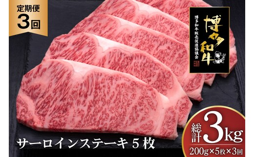 肉 博多和牛 サーロインステーキ 200g 5枚 計 1kg 3回 定期便 総計 3kg [久田精肉店 福岡県 宇美町 um40bsi440020] 牛 牛肉 サーロイン ステーキ 和牛 ソース ソース付き 福岡県産 冷凍