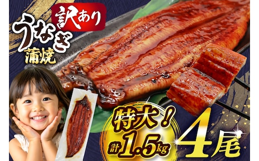 うなぎ 蒲焼 特大サイズ 肉厚 約 1.5kg 4尾 タレ・山椒付 茶葉蒸し [大黒物産 福岡県 宇美町 um40bak830002] 鰻 ウナギ 小分け うなぎ蒲焼 鰻蒲焼き 訳あり 蒲焼き かば焼き 茶葉蒸しうなぎ 真空パック 個包装 冷凍 unagi
