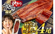 うなぎ 訳あり 蒲焼 特大 肉厚 4尾 約 1.5kg 小分け タレ 山椒付き [大黒物産 福岡県 宇美町 um40bak830002] 不揃い 規格外 家庭用 鰻 ウナギ unagi うなぎ蒲焼 鰻蒲焼き 蒲焼き かば焼き 真空パック 個包装 冷凍 13000 13000円