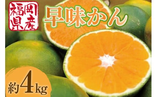 みかん 早味かん 約 4kg 【期間限定発送】 [南国フルーツ 福岡県 宇美町 um40azo970031] 先行予約 福岡県産 ミカン 早生みかん 早生ミカン フルーツ 果物 くだもの 果実 甘い あまい