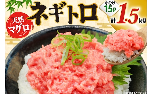 ネギトロ まぐろ 1.5kg 15パック セット [大黒物産株式会社 福岡県 宇美町 um40bak830036] マグロ 鮪 ねぎとろ まぐろたたき まぐろのたたき ご飯 海鮮 魚介 惣菜 お惣菜 おかず おつまみ ネギトロ丼 丼 丼物 冷凍 小分け