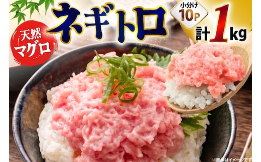 ネギトロ まぐろ 1kg 10パック セット [大黒物産株式会社 福岡県 宇美町 um40bak830037] マグロ 鮪 ねぎとろ まぐろたたき まぐろのたたき ご飯 海鮮 魚介 惣菜 お惣菜 おかず おつまみ ネギトロ丼 丼 丼物 冷凍 小分け