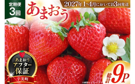 いちご あまおう 福岡 250g以上 3p 3回 総計9p【2027年発送】期間限定発送 [THE FARM_strawberry 福岡県 宇美町 um40azo780004] イチゴ 苺 フルーツ 果物 果実 甘い 小分け 定期 あまい 先行予約