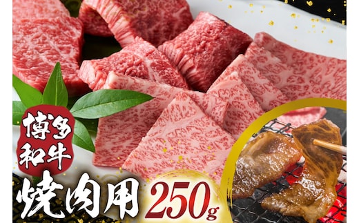 博多和牛 焼肉用 250g [MEAT PLUS 福岡県 宇美町 um40azp010055] ふるさと納税 牛肉 焼肉 焼き肉 肉 肩ロース肉 肩バラ肉 モモ肉 和牛 冷凍