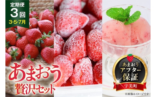 いちご 定期便 贅沢セット フレッシュあまおう & 冷凍あまおう & ジェラート 2種 【2027年発送】 [THE FARM_strawberry 福岡県 宇美町 um40azo780019] アイス 先行予約 イチゴ 苺 フルーツ 果物 果実 甘い 小分け 定期 あまい