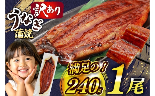 うなぎ 訳あり 鰻 蒲焼 特大 1尾 約240g 不揃い 規格外 小分け [大黒物産 福岡県 宇美町 um40bak830044] タレ 山椒付 茶葉蒸し ウナギ うなぎ蒲焼 鰻蒲焼き 蒲焼き かば焼き 真空パック 個包装 冷凍 unagi