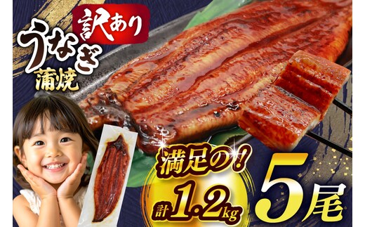 うなぎ 訳あり 蒲焼 特大 肉厚 5尾 計約1.2kg 小分け タレ 山椒付き [大黒物産 福岡県 宇美町 um40bak830042] 不揃い 規格外 鰻 ウナギ unagi うなぎ蒲焼 鰻蒲焼き 蒲焼き かば焼き 真空パック 個包装 冷凍