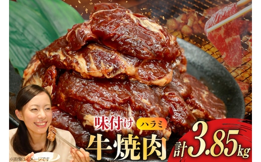 牛肉 味付け牛 サガリ 350g 11袋 計約3.8kg [小林食品 福岡県 宇美町 um40azo890015] 肉 焼き肉 サガリ 味付け牛肉 牛焼肉 個包装 冷凍