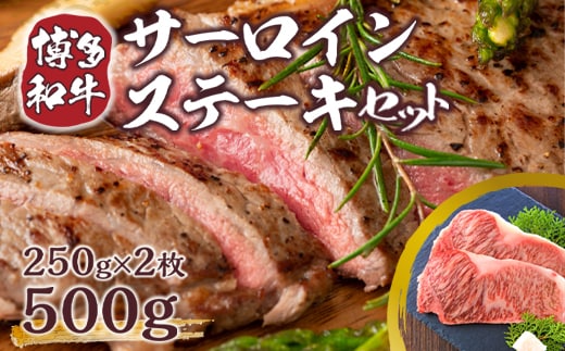 博多和牛 サーロイン ステーキ 250g 2枚 計500g [MEAT PLUS 福岡県 宇美町 um40azp010004] 牛肉 サーロインステーキ 肉 和牛