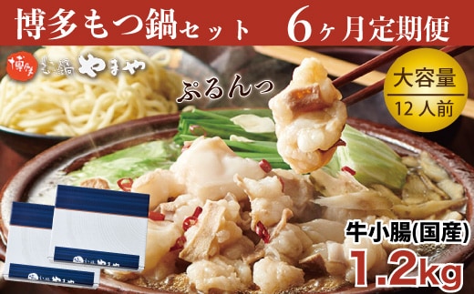 もつ鍋 やまや 6回 定期便 隔月 博多もつ鍋 牛もつ 1.2kg たっぷり セット 12人前 総計72人前 ちゃんぽん麺 薬味付 [やまやコミュニケーションズ 福岡県 宇美町 um40azo860008] もつ鍋セット モツ鍋 国産 牛モツ 牛ホルモン