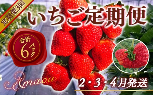 【期間限定発送】 いちご 定期便 あまおう 2p 3回 総計6P [THE FARM_strawberry 福岡県 宇美町 um40azo780012] イチゴ 苺 フルーツ 果実 甘い 小分け