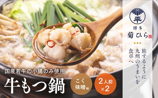 もつ鍋 博多菊ひら 厳選 国産 若牛 もつ鍋セット こく味噌味2人前 2 セット [ベイシス福岡 福岡県 宇美町 um40azp130001] 牛もつ鍋 モツ鍋 モツ鍋セット 鍋 博多