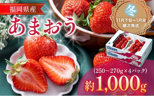 【11月下旬発送開始予定】福岡産【冬】あまおう 4パック 合計約1000g～1080g 約1kg （1パックあたり約250g～約270g） いちご 苺 果物 フルーツ 九州産 福岡県産 冷蔵 送料無料
