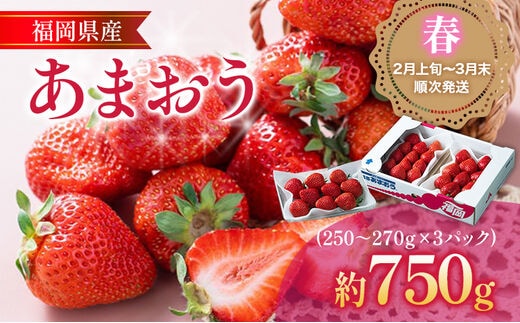 【2月上旬発送開始予定】福岡産【春】あまおう 3パック 合計約750g～810g （1パックあたり約250g～約270g） いちご 苺 果物 フルーツ 九州産 福岡県産 冷蔵 送料無料