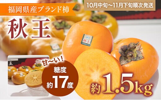 福岡県産ブランド柿「秋王」約1.5kg(4-6玉)