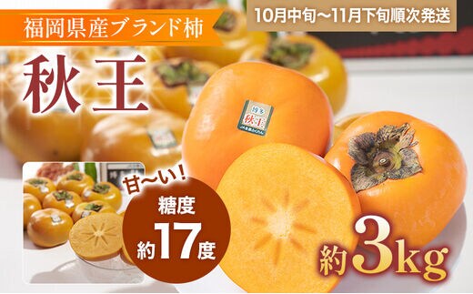 福岡県産ブランド柿「秋王」約3kg(8-12玉)
