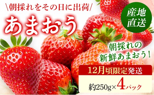 あまおう いちご 産地直送 約250g×4パック 福岡県産 朝採れ ふくおかエコ農産物認証 苺 フルーツ イチゴ 果物 くだもの ストロベリー ichigo ケーキ スイーツ 【12月頃限定発送予定】※北海道・沖縄・離島は配送不可