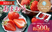 【11月下旬発送開始予定】福岡産【冬】あまおう 2パック 合計約500g～540g （1パックあたり約250g～約270g） いちご 苺 果物 フルーツ 九州産 福岡県産 冷蔵 送料無料
