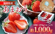 【11月下旬発送開始予定】福岡産【冬】あまおう 4パック 合計約1000g～1080g 約1kg （1パックあたり約250g～約270g） いちご 苺 果物 フルーツ 九州産 福岡県産 冷蔵 送料無料