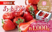 【2月上旬発送開始予定】福岡産【春】あまおう 4パック 合計約1000g～1080g 約1kg （1パックあたり約250g～約270g） いちご 苺 果物 フルーツ 九州産 福岡県産 冷蔵 送料無料