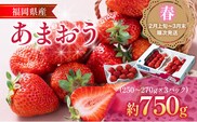 【2月上旬発送開始予定】福岡産【春】あまおう 3パック 合計約750g～810g （1パックあたり約250g～約270g） いちご 苺 果物 フルーツ 九州産 福岡県産 冷蔵 送料無料
