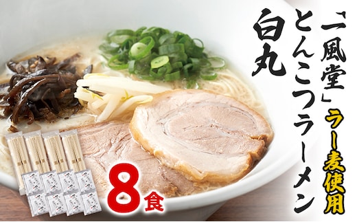 ラー麦使用 「一風堂」 とんこつ ラーメン 白丸 (8食) 豚骨ラーメン ストレート麺 お取り寄せグルメ お取り寄せ 福岡 お土産 九州 ご当地グルメ 福岡土産 取り寄せ グルメ 福岡県 食品