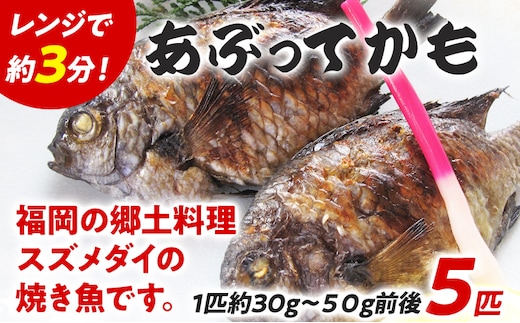 福岡郷土料理 あぶってかも 5匹 スズメダイ 炙り 焼き魚 魚介類 惣菜 加工品 おかず おつまみ 冷凍 魚 福岡 九州