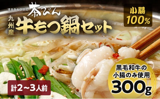 もつ鍋セット 2～3人前 醤油味 ホルモン小腸 もつ 小腸 300g 九州産 国産 ホルモン スープ ちゃんぽん ごま 鷹の爪 ごま油 セット 黒毛和牛 冷凍 取り寄せ 送料無料 牛もつ鍋処 茶びん