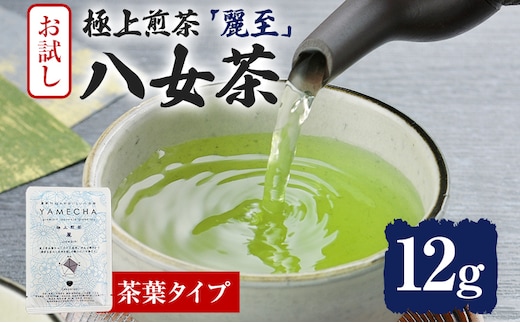 お試し企画【八女茶】原田茶園 極上煎茶 麗至 12g（茶葉タイプ） お試し 八女 極上 煎茶 福岡 茶葉 お茶