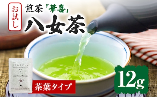 お試し企画【八女茶】原田茶園 煎茶 華喜 12g（茶葉タイプ）お試し 煎茶 福岡 茶葉 お茶