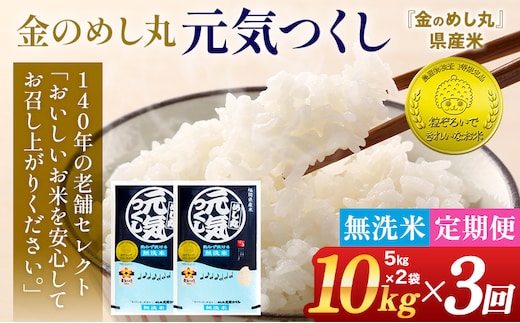 【無洗米】 令和7年産 金のめし丸 元気つくし 合計30kg 10kg (5kg×2袋) ×3回 定期便 白米 精米 お米 ご飯 米 精米 お取り寄せ 福岡 お土産 九州 福岡県産 グルメ 福岡県