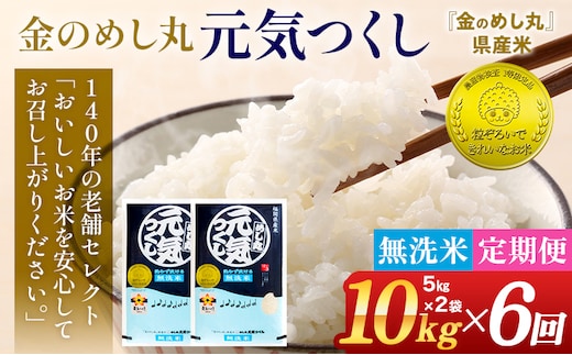 【無洗米】 令和7年産 金のめし丸 元気つくし 合計60kg 10kg (5kg×2袋) ×6回 定期便 白米 精米 お米 ご飯 米 精米 お取り寄せ 福岡 お土産 九州 福岡県産 グルメ 福岡県