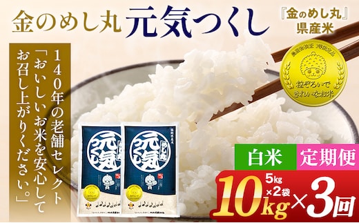 令和7年産 金のめし丸 元気つくし 合計30kg 10kg (5kg×2袋) ×3回 定期便 白米 精米 お米 ご飯 米 精米 お取り寄せ 福岡 お土産 九州 福岡県産 グルメ 福岡県