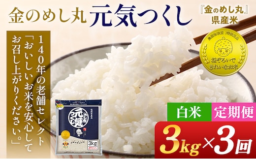 【3回定期便】 令和7年産 白米 金のめし丸 元気つくし 3kg 定期便 3ヵ月 福岡 お米 米 ごはん ご飯 お弁当 おにぎり 金のめし丸県産米 福岡ブランド米 めし丸 ライス rice 飯