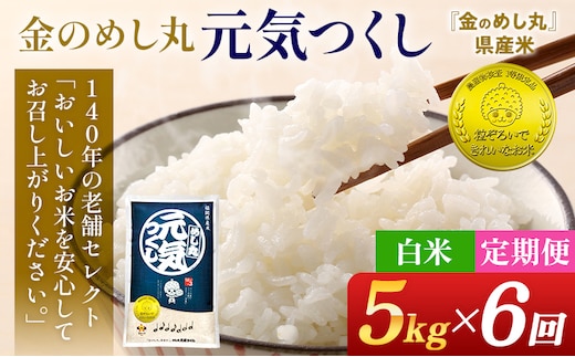 【6回定期便】 令和7年産 白米 金のめし丸 元気つくし 5kg 定期便 半年 福岡 お米 米 ごはん ご飯 お弁当 おにぎり 金のめし丸県産米 福岡ブランド米 めし丸 ライス rice 飯