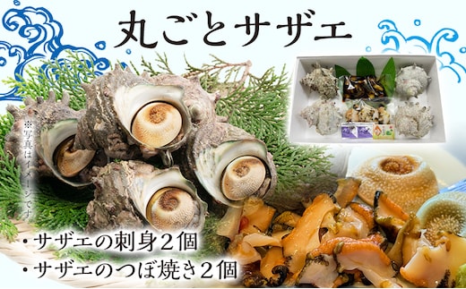 丸ごとサザエ さざえ 栄螺 貝 魚介 海鮮 刺身 つぼ焼き サザエ サザエの刺身２個 サザエのつぼ焼き２個 玄界灘 福岡 冷凍 お取り寄せ 海産物 さしみ 刺し身 グリル 殻付き レンジ おつまみ つまみ 肴