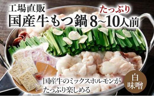 国産牛もつ鍋(白味噌味) 工場直販 たっぷり8～10人前 お取り寄せグルメ お取り寄せ 福岡 お土産 九州 福岡土産 取り寄せ グルメ 福岡県
