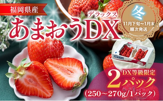 【11月下旬発送開始予定】福岡産【冬】あまおうDX（デラックス）2パック いちご 苺 果物 フルーツ 九州産 福岡県産 冷蔵 送料無料 イチゴ フルーツ 果物 くだもの ブランド 国産 甘味 果汁