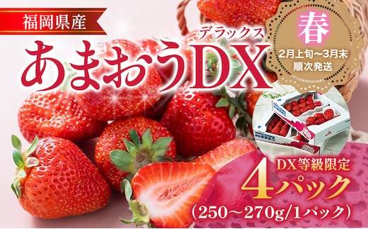 【2月上旬発送開始予定】福岡産【春】あまおうDX（デラックス）4パック いちご 苺 果物 フルーツ 九州産 福岡県産 冷蔵 送料無料 イチゴ フルーツ 果物 くだもの ブランド 国産 甘味 果汁