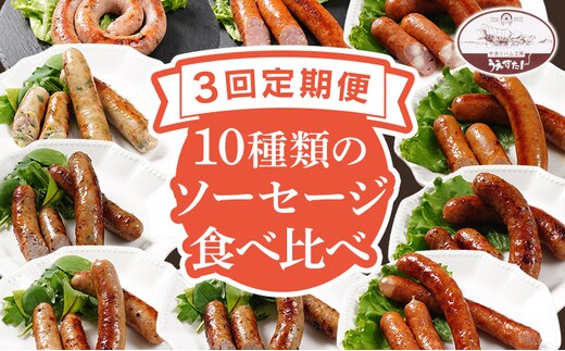 【定期便】手造りウィンナー 食べ比べ 10種類 Oセット×3回 ウィンナー ソーセージ チーズ あらびき ペッパー 餃子 ガーリック 生ウィンナー うえすたん セット 食べ比べ 詰め合わせ バラエティ