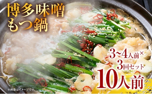 訳あり！博多味噌もつ鍋 10人前セット お取り寄せグルメ お取り寄せ 福岡 お土産 九州 福岡土産 取り寄せ グルメ 福岡県
