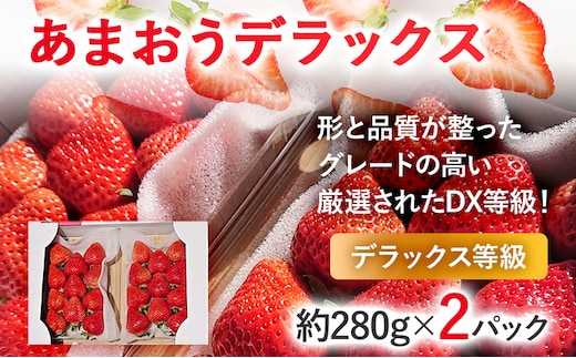 【2026年発送先行予約】あまおうデラックス（約280g x2パック） お取り寄せグルメ お取り寄せ 福岡 お土産 九州 福岡土産 取り寄せ グルメ 福岡県