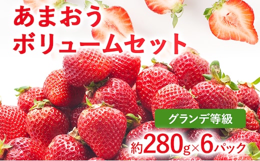 【2026年発送先行予約】あまおうボリュームセット(約280g x G6パック) お取り寄せグルメ お取り寄せ 福岡 お土産 九州 福岡土産 取り寄せ グルメ 福岡県