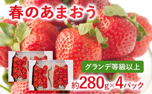【2026年先行予約】春のあまおう(G規格以上約280g x 4パック) お取り寄せグルメ お取り寄せ 福岡 お土産 九州 福岡土産 取り寄せ グルメ 福岡県