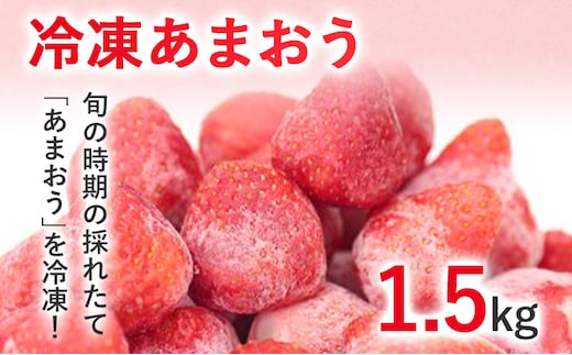 冷凍あまおう1.5kg お取り寄せグルメ お取り寄せ 福岡 お土産 九州 福岡土産 取り寄せ グルメ 福岡県