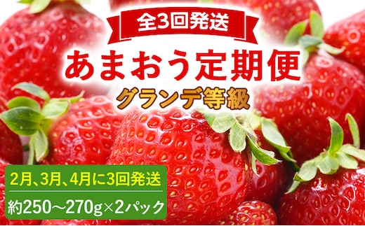 【2026年発送先行予約】あまおう2パック×3回発送定期便 (2月、3月、4月発送) 定期便 約250～270g×2パック いちご フルーツ 果物 あまおう 苺 イチゴ 福岡【発送時期2026年2月、3月、4月】