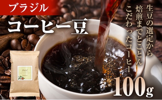 コーヒー豆 ブラジル トミオフクダ DOT ムンドノーボ 100g お試し 自家焙煎 ドリンク 飲料