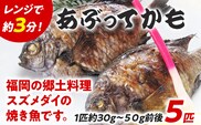 福岡郷土料理 あぶってかも 5匹 スズメダイ 炙り 焼き魚 魚介類 惣菜 加工品 おかず おつまみ 冷凍 魚 福岡 九州