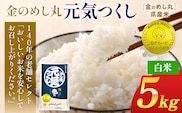 令和7年産 金のめし丸元気つくし精米５kg 元気つくし 福岡 お米 米 ごはん ご飯 お弁当 おにぎり 金のめし丸県産米 福岡ブランド米 めし丸 志免 志免町 福岡県